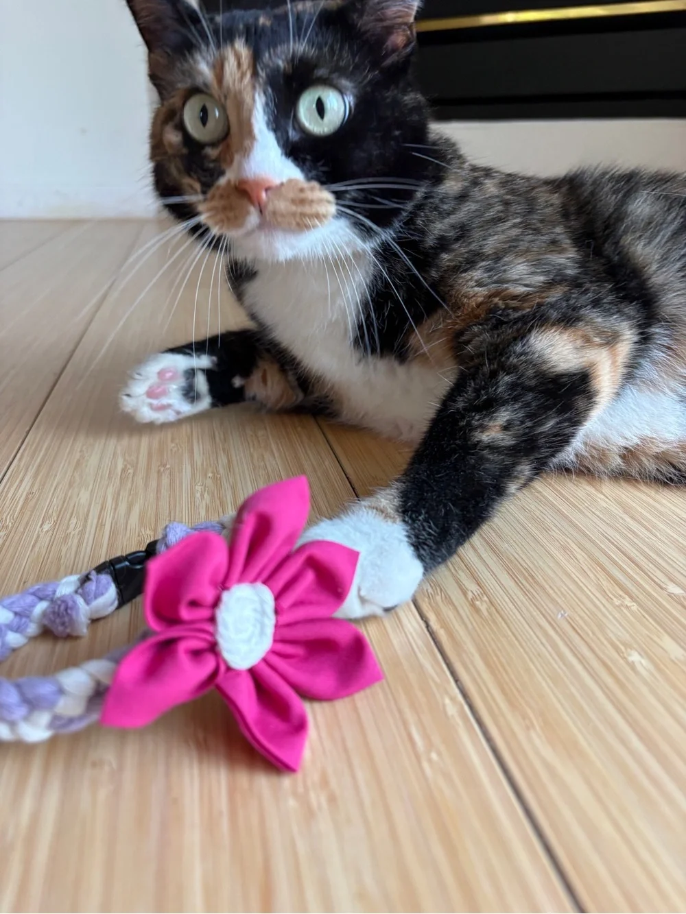 Handmade by Zink & Dot- Removable Pet Collar Floral Accessory